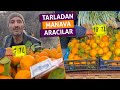 Tarladan manava araclar  ske