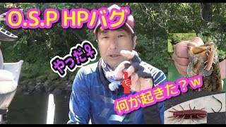 O.S.P新製品！HPバグの取説！