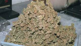 Download Lagu n33k0 - JD productions MP3