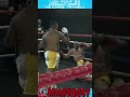 Knockout lion fight 63  hassan oseni vs chris tramell shorts muaythai lionfight