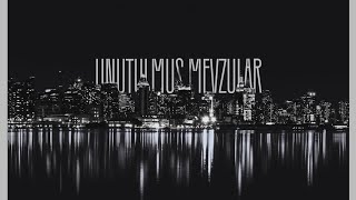 MEREACH BEARBEAN - UNUTULMUŞ MEVZULAR (DISS) (Aİ)