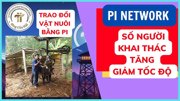 Tin Tức Pi Network Mới Nhất l Giảm Tốc Độ Khai Thác l Blog Của Hải