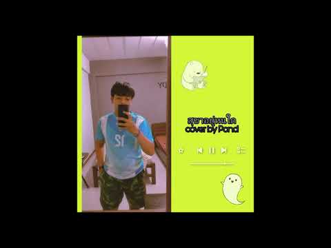 สุขาอยู่หนใด  - 25hours [ Cover By Pond ]