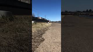 IMG 1766