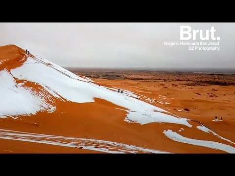 Vidéo: École - une bande transporteuse pour la production de masse humaine