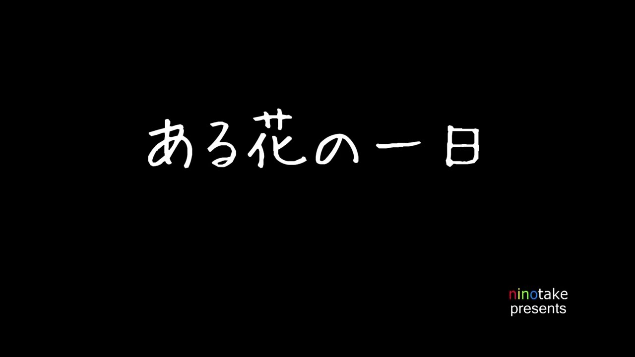 ある花の一日　2022.4.29　Fri