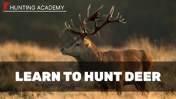 How To Start Deer Stalking | Deer Stalking Certificate