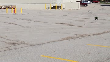 ECX amp MT brushless 3S speed run - 48mph