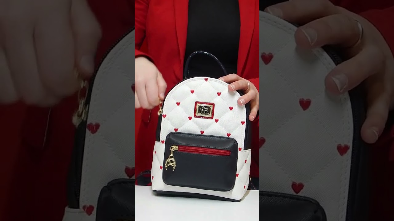 Demonstrative Video for Style 