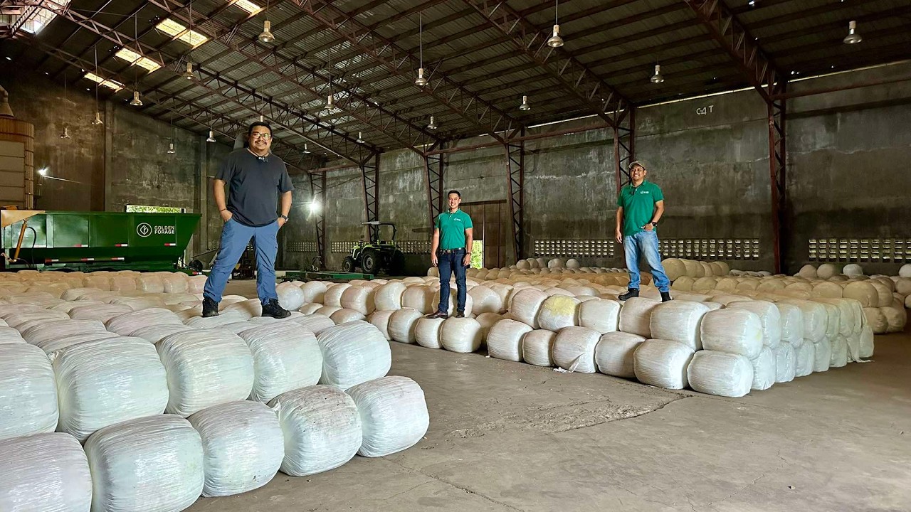 The Next Big Business Opportunity: PROBLEMS ng CORN FARMERS, DAIRY at RUMINANT FARMERS - SOLVE NA!