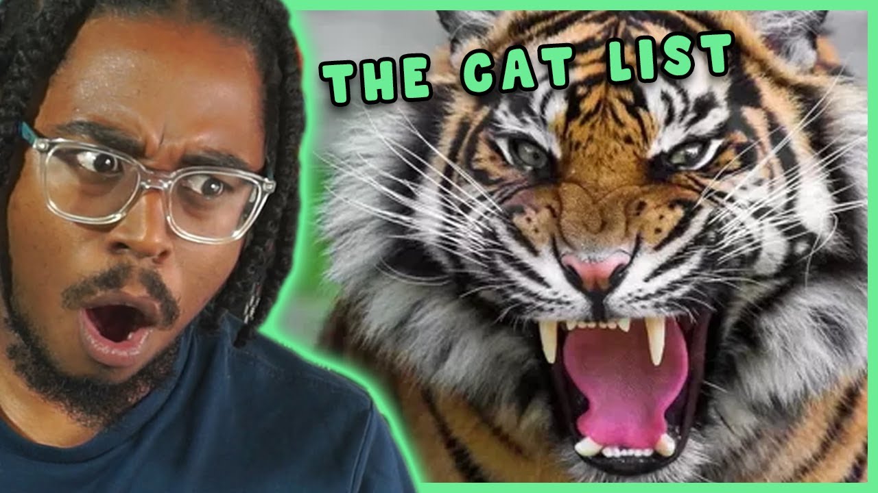 REACTING THE THE CAT TIER LIST (TIER ZOO REACTION)