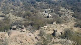 Rally sur riojano ( agustin Romero)