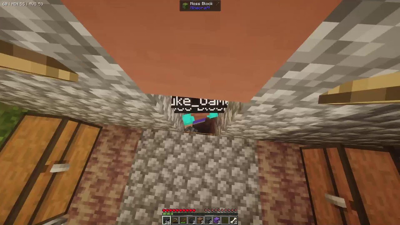 Minecaft bat I will play horar one block