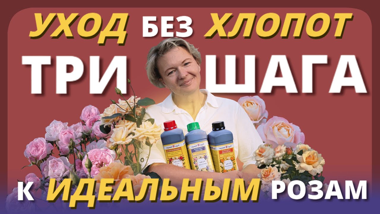 РОЗЫ - ЭТО ПРОСТО! Уход за розами без проблем и головной боли.