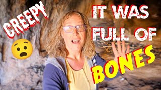 Bone Altar & Prehistoric Cave Art