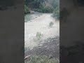 تبارك الذي بيده الملك