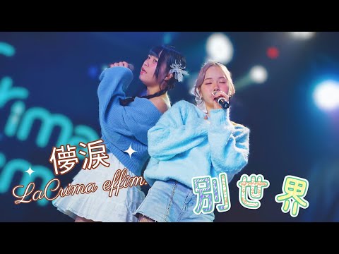 LaCrima effim. 儚淚  - 別世界 / hakanai《 2026.02.06 白晝U:ME 不定期公演 & 璃可生誕祭  》