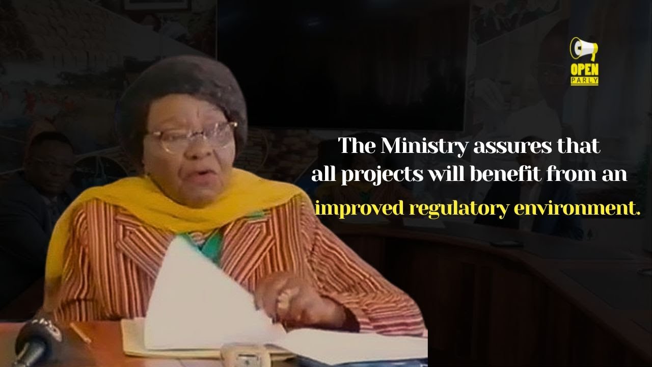 Minister REACTS to Carbon Trading Controversy | Environmental Policy Update