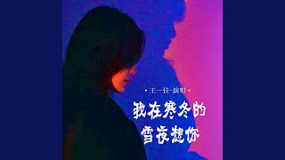 我在寒冬的雪夜想你