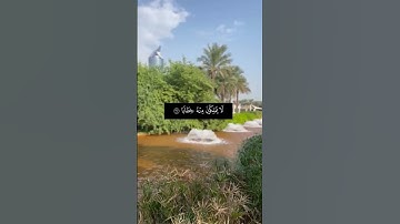القرآن الكريم وتلاوات خاشعة تلاوة من سورة النبأ القارئ عمر الفاروق
