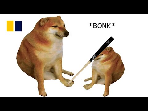 ‘Bonk’ meme dog Cheems Balltze dies after cancer battle