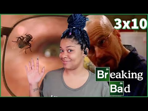 'Breaking Bad,' Season 3, Episode 10, 'Fly' | REACTION