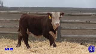 Lot 82