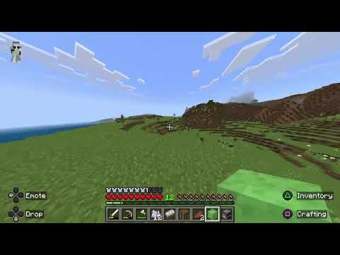 Ps4 Minecraft