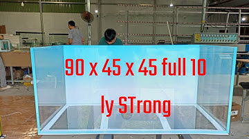 Hồ Cá Siêu Trong Giá Cực Tốt Cho Dịp Cuối Năm