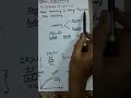 linear and binary search in system programming