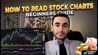How to Read Technical Charts & Market Data: Beginner’s Guide 2026 Profile
