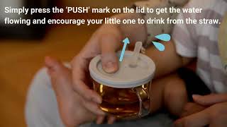 Richell Push Flow Training Sippy Cup 5 oz