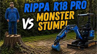 Can the Rippa R18 PRO handle this large oak stump?