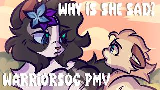 Why Is She Always So Sad | Warriors OC PMV