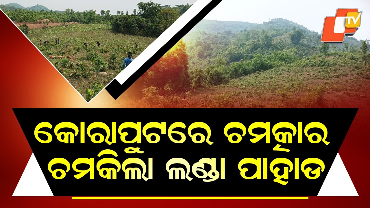 Special Story: From Barren Hill to Green Forest | Koraput’s Inspiring Revival