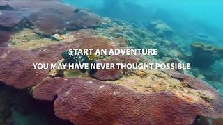 Introducing The Powerray - The Underwater Drone