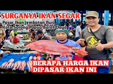Harga Ikan Tuna Di Sorong