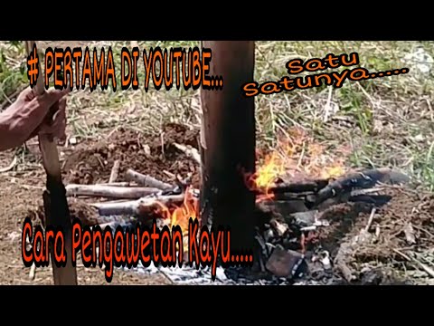 Video: Apa yang anda panggil kayu untuk api?