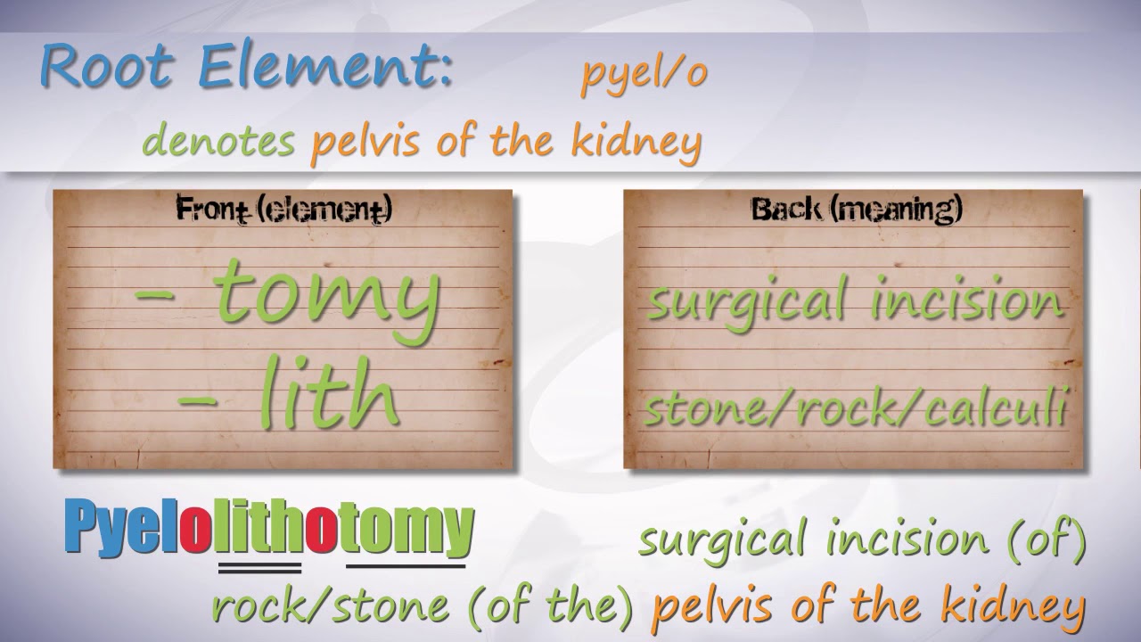 Medical Terminology of the Urinary System YouTube