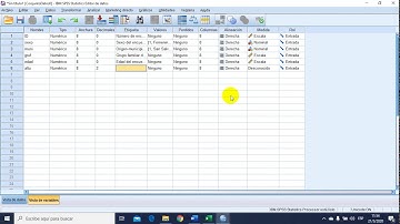 CONSTRUCCIÓN DE BASE DE DATOS SPSS 23