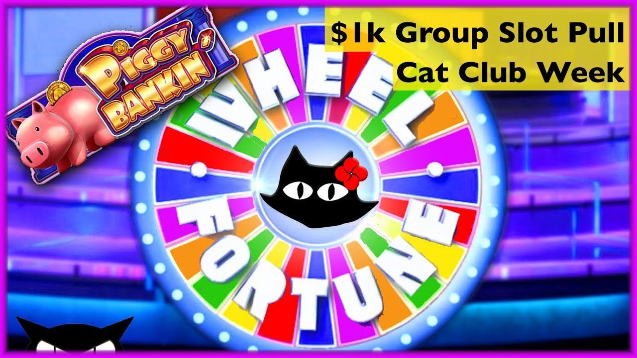 Cat Club Week 🐈 1000 Group Slot Pull 💰 The Slot Cats 🎰😸😸 YouTube
