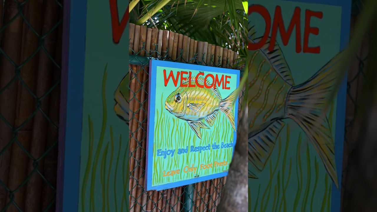 A day on the beautiful island 🏝 of Boca Grande! Unparalleled beaches & stunning architecture 💫