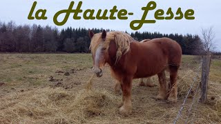 La Haute Lesse - 4K