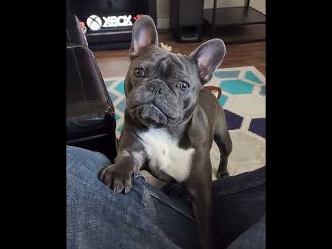Wrinkles STAYS ready.