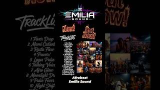 AFROBEAT is OUT NOW! 20 hot & groovy Afrobeat tracks by Emilia Sound, straight from the motherland.
