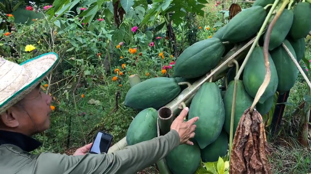 Youtube Live (18 ต.ค.2566) 5 เดือน..