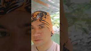 Travel Vlog  Polomolok South Cotabato travelvlog philippines trend travelvlog adventure viral