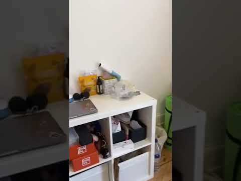 2 Bedroom Garden Flat - New Cross Gate Main Photo
