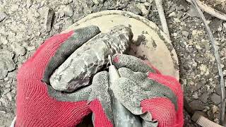 Fossil Preparation ASMR