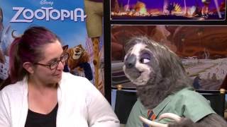 An Interview With Flash From Disneys Zootopia